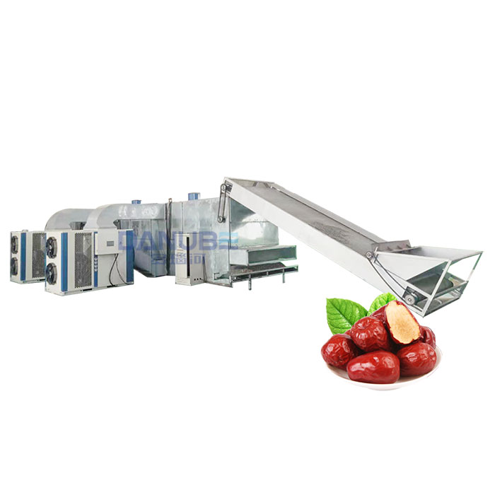 Mesh belt food dryer