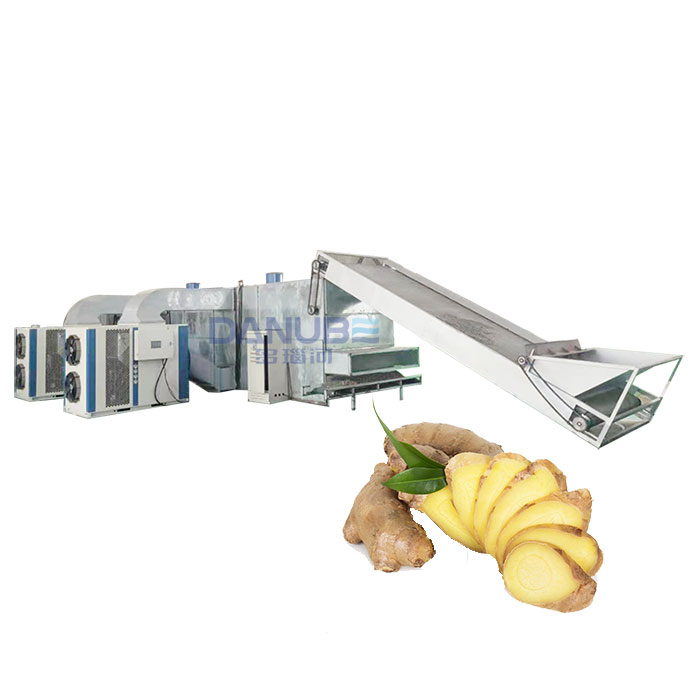 Mesh belt ginger dryer