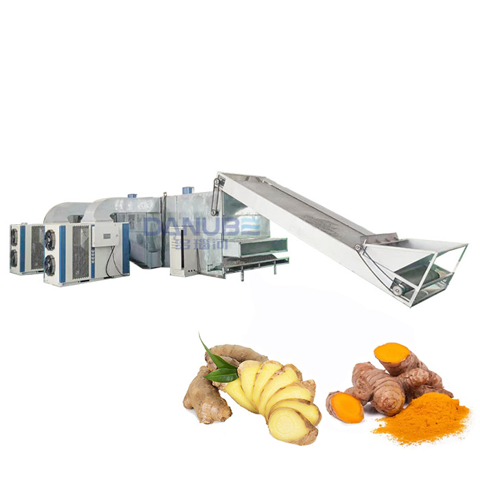 Mesh belt ginger dryer
