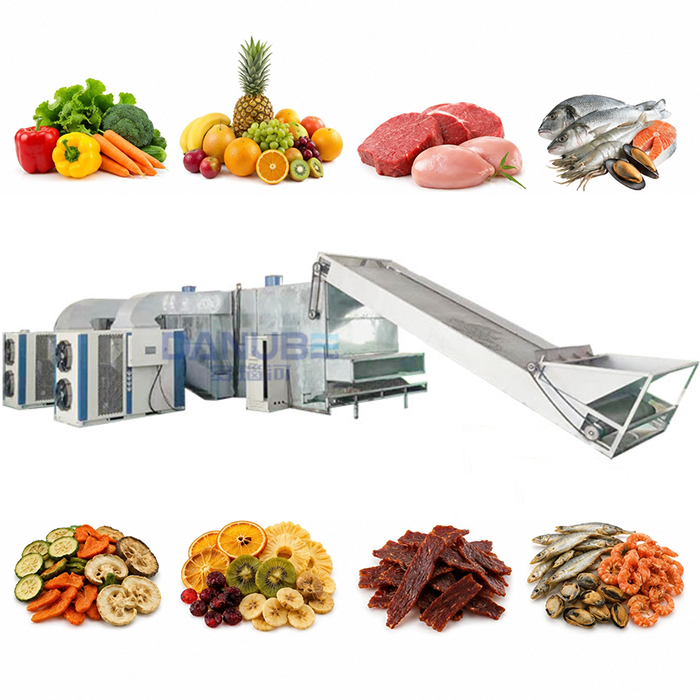 Mesh belt food dryer