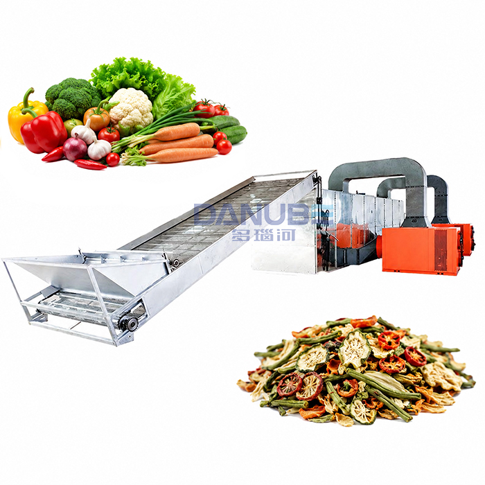 Mesh belt vegetable dryer
