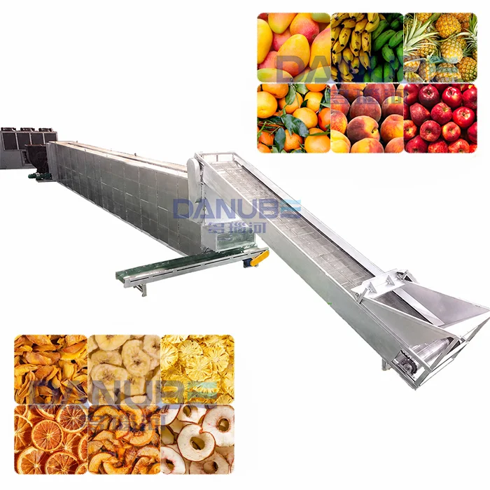 Mesh belt fruit dryer