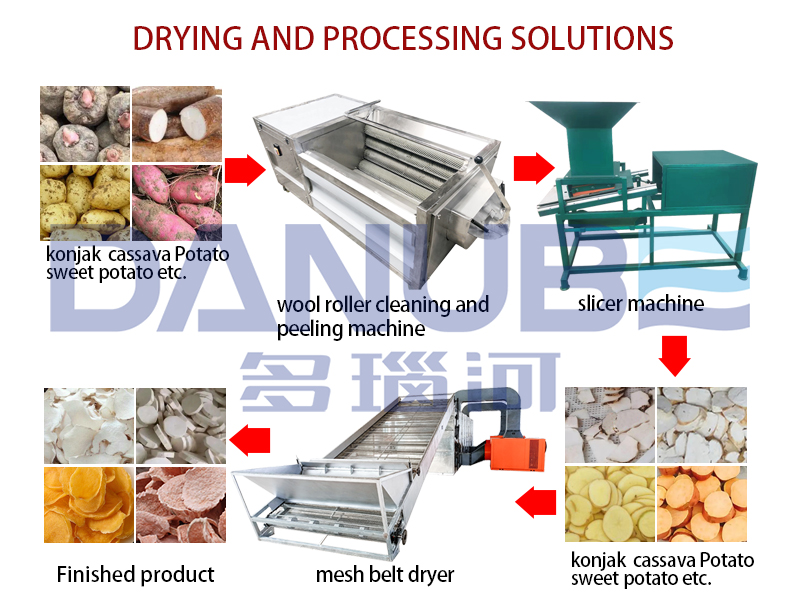 Korean Sweet Potato Processing Company Visits Danube Group for Factory Tour and Technical Exchange