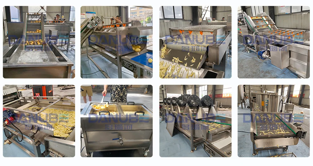 Industrial Frying Line for Potato Chips, French Fries and Snacks Production