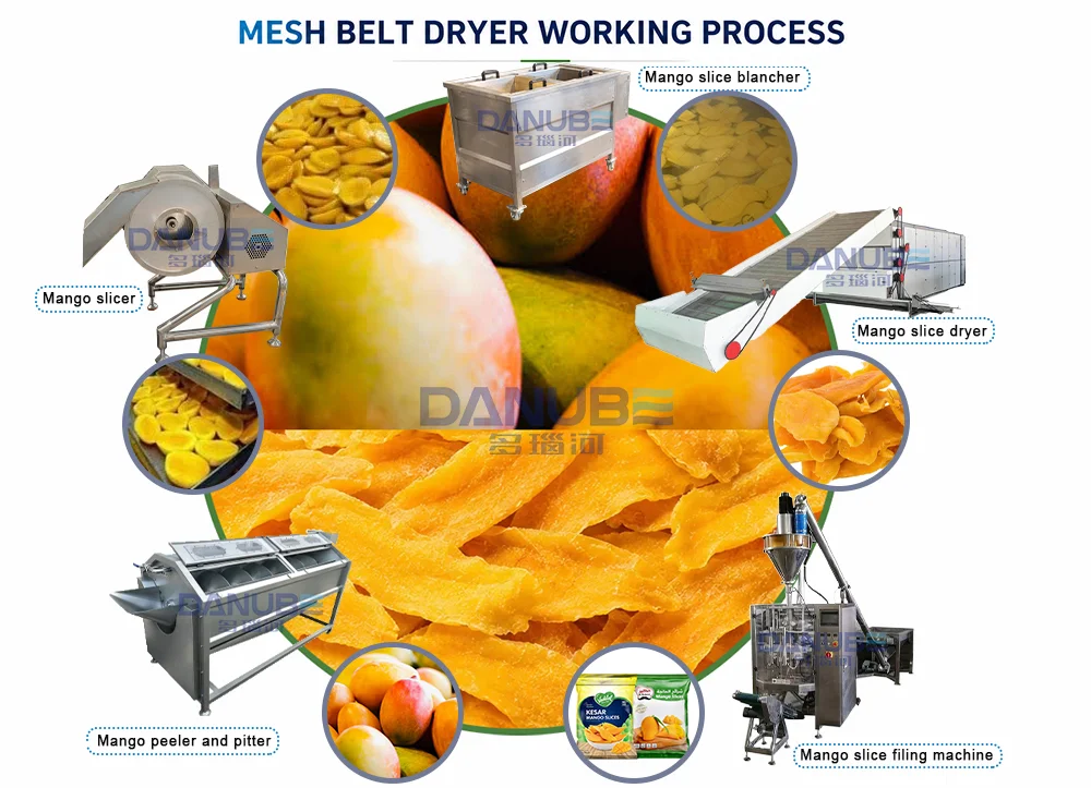 How Do You Correctly Choose A Mango Dryer?